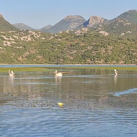 Ivan'S Holiday Home Virpazar Εξωτερικό φωτογραφία