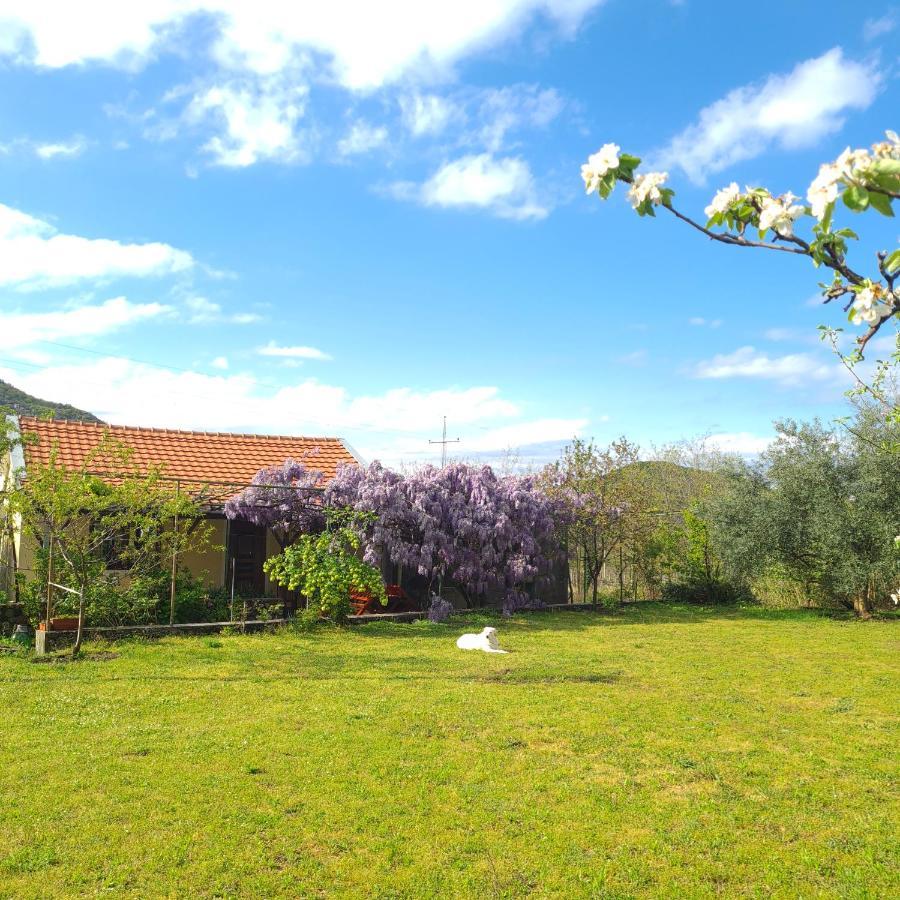 Ivan'S Holiday Home Virpazar Εξωτερικό φωτογραφία
