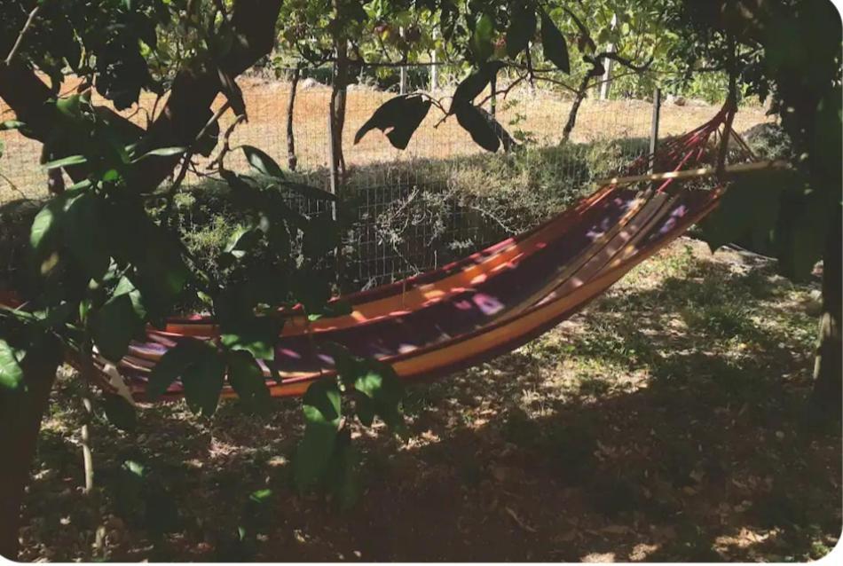 Ivan'S Holiday Home Virpazar Εξωτερικό φωτογραφία