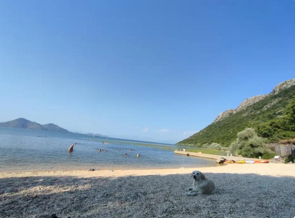 Ivan'S Holiday Home Virpazar Εξωτερικό φωτογραφία