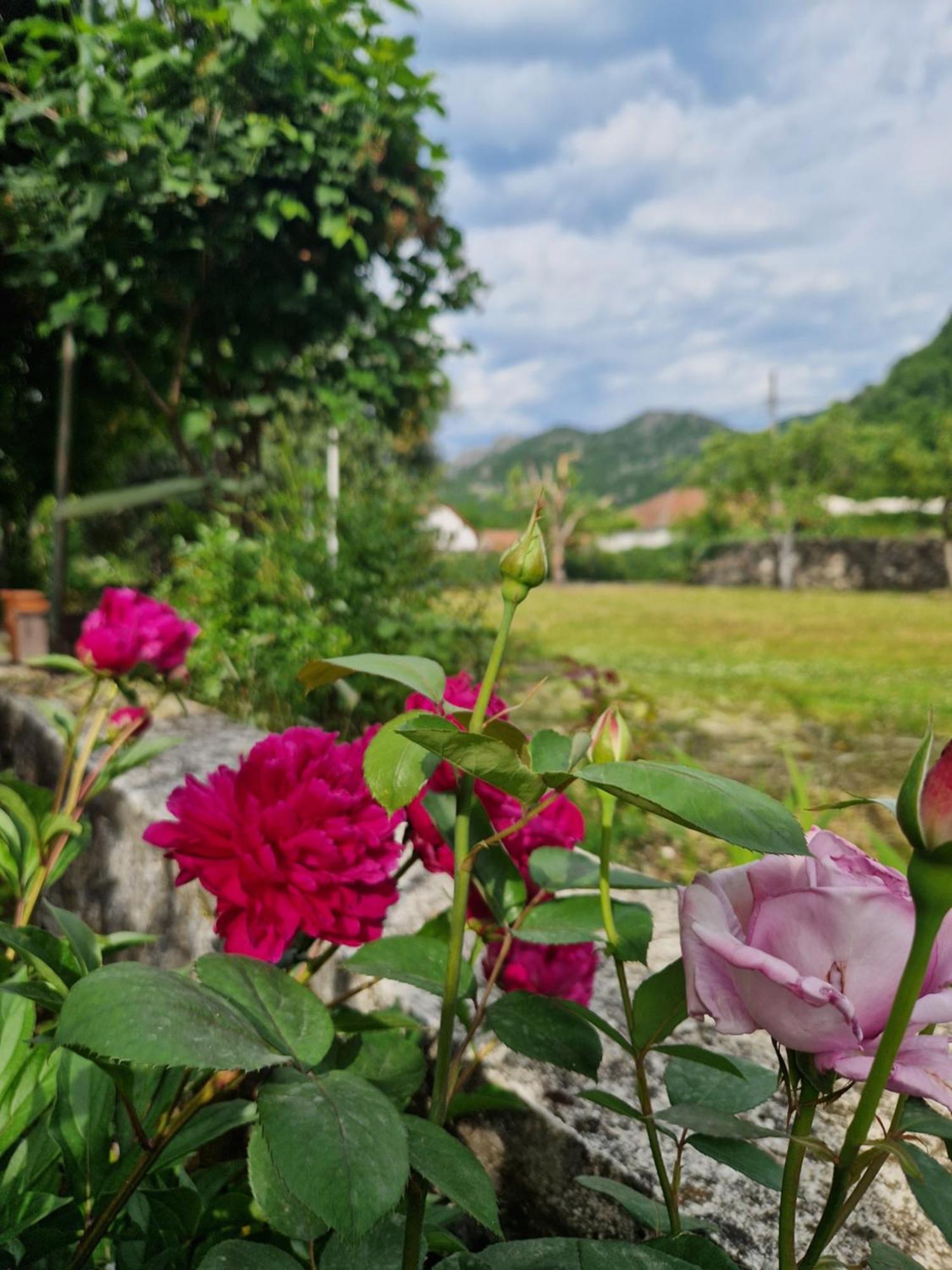 Ivan'S Holiday Home Virpazar Εξωτερικό φωτογραφία