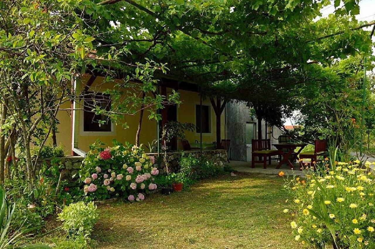 Ivan'S Holiday Home Virpazar Εξωτερικό φωτογραφία